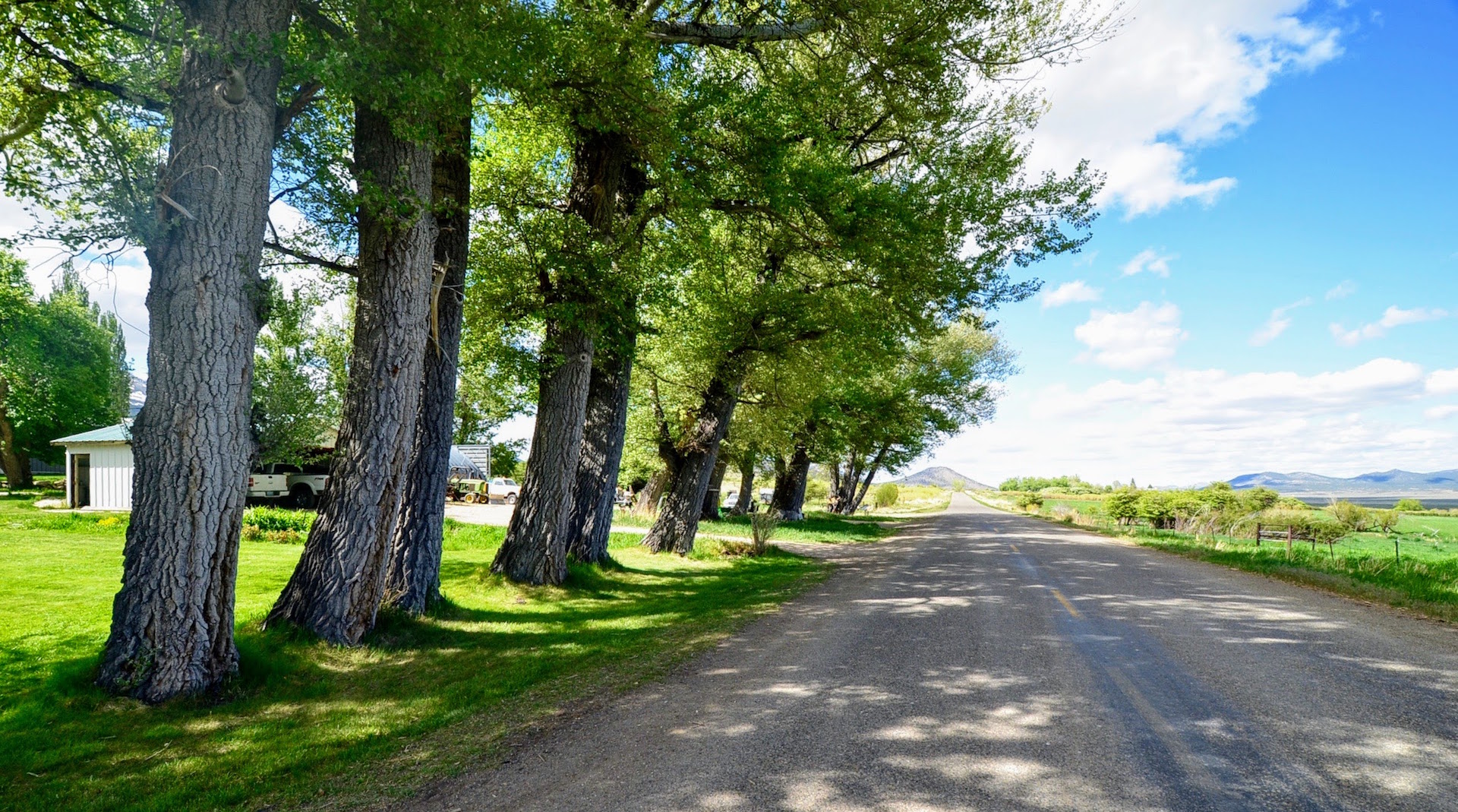 Clover Valley Ranch property picture 85 of 109