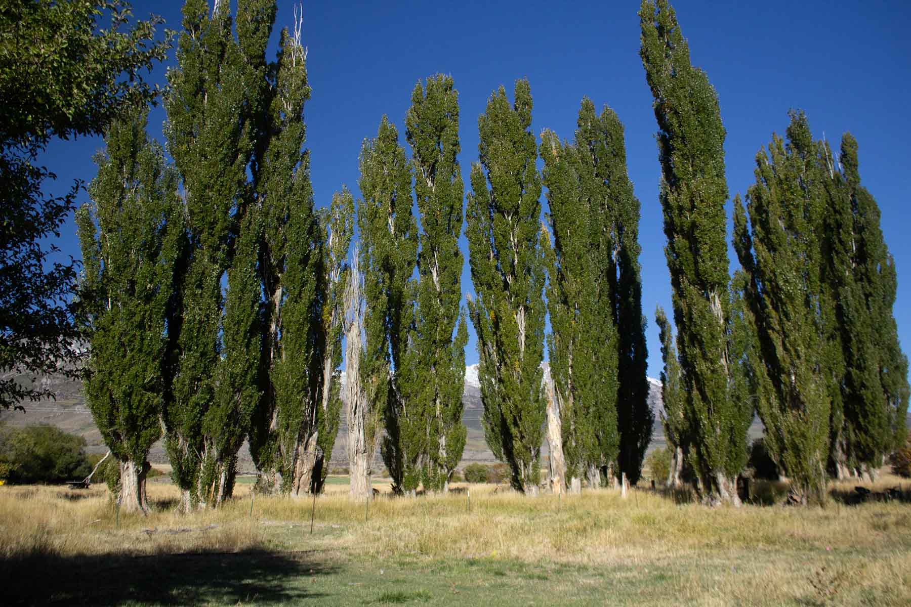 Clover Valley Ranch property picture 46 of 109