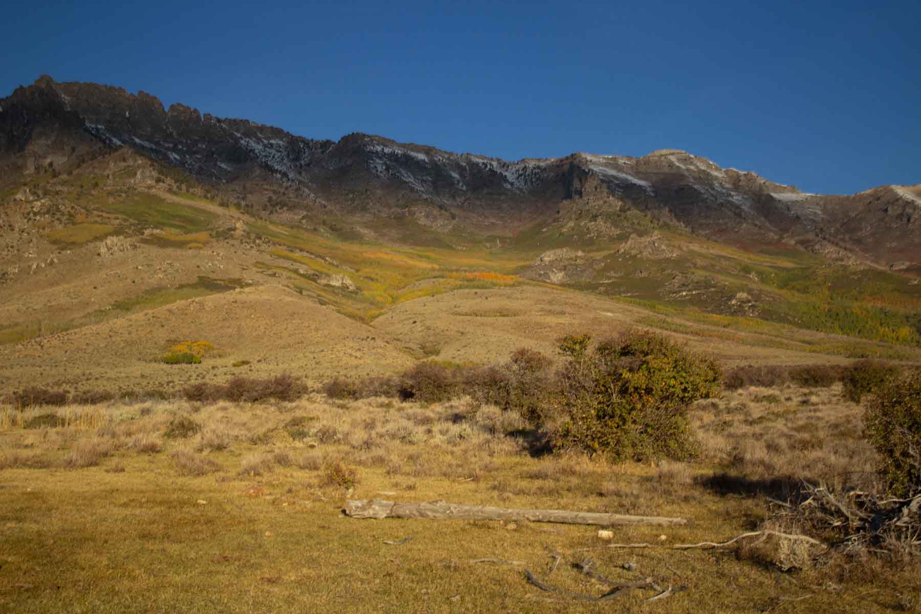 Clover Valley Ranch Sold Nevada Hall and Hall