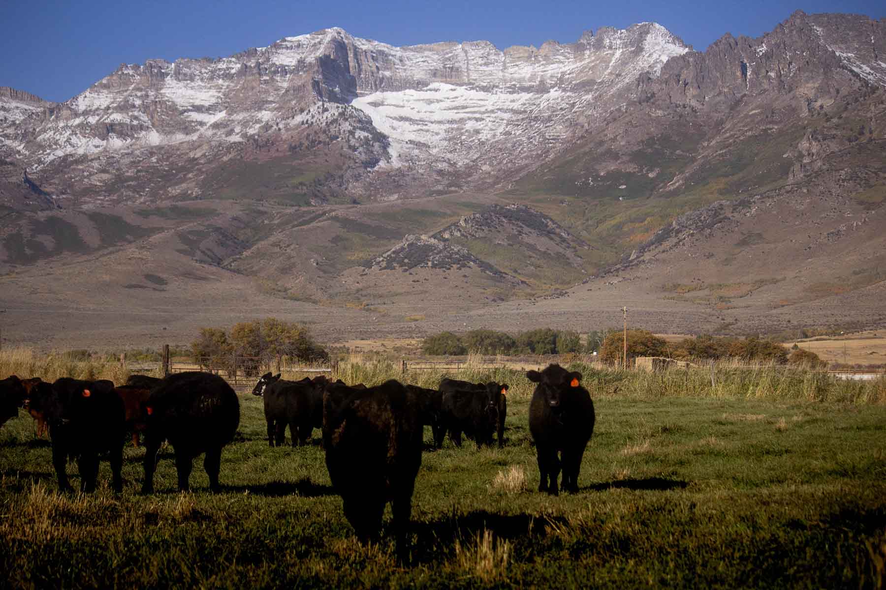 Clover Valley Ranch property picture 34 of 109