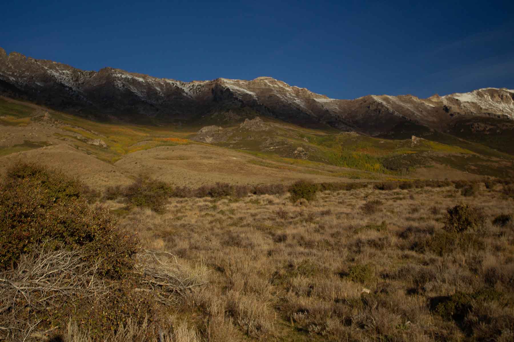 Clover Valley Ranch Sold Nevada Hall and Hall