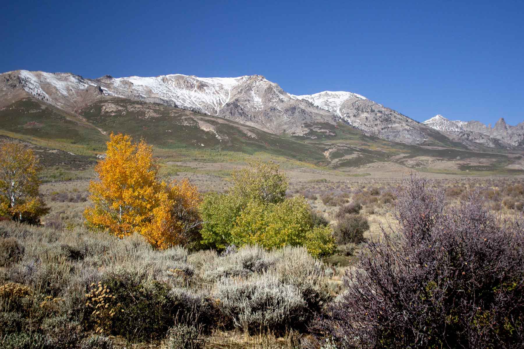 Clover Valley Ranch Sold Nevada Hall and Hall