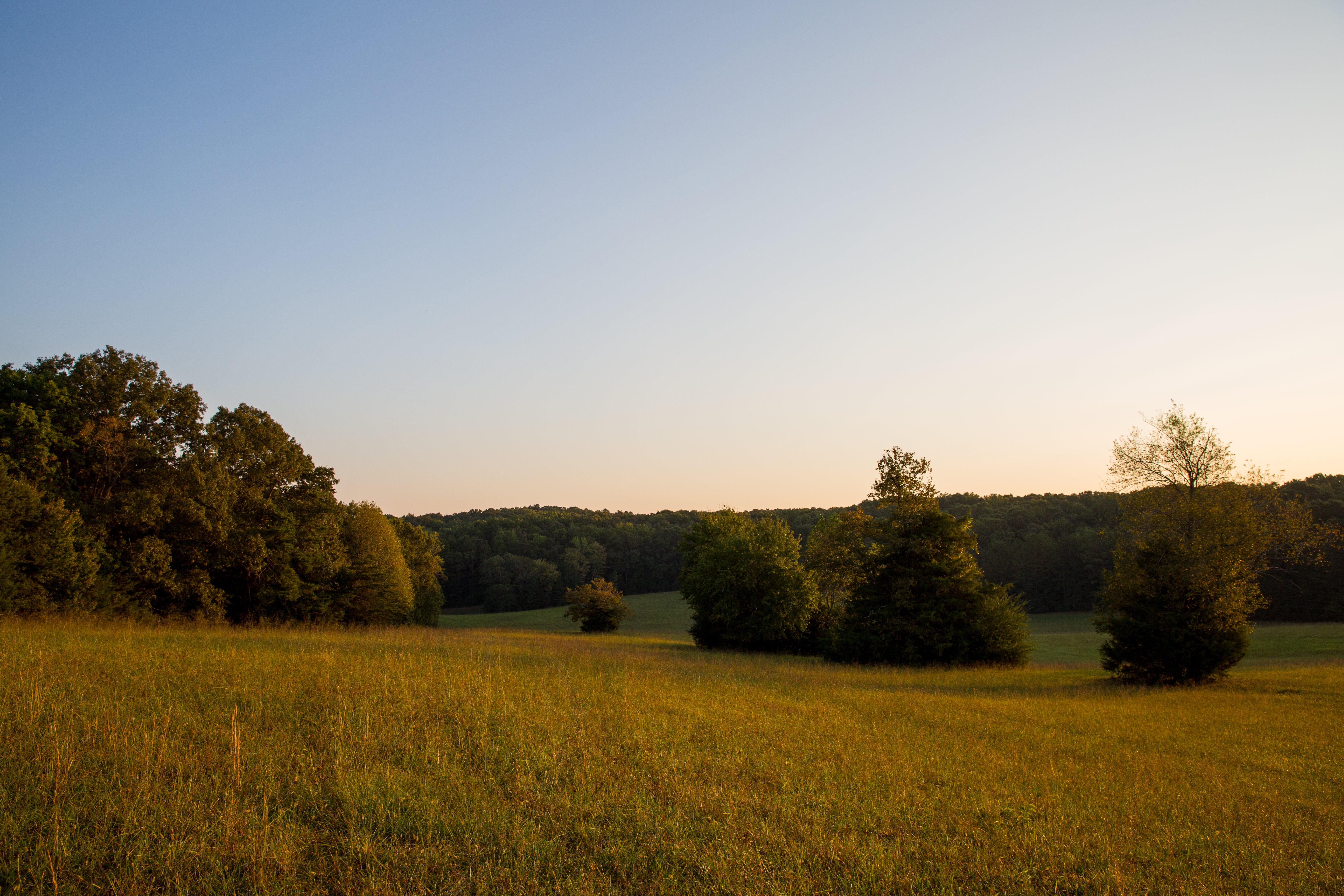 Split Tree Farm property picture 3 of 28