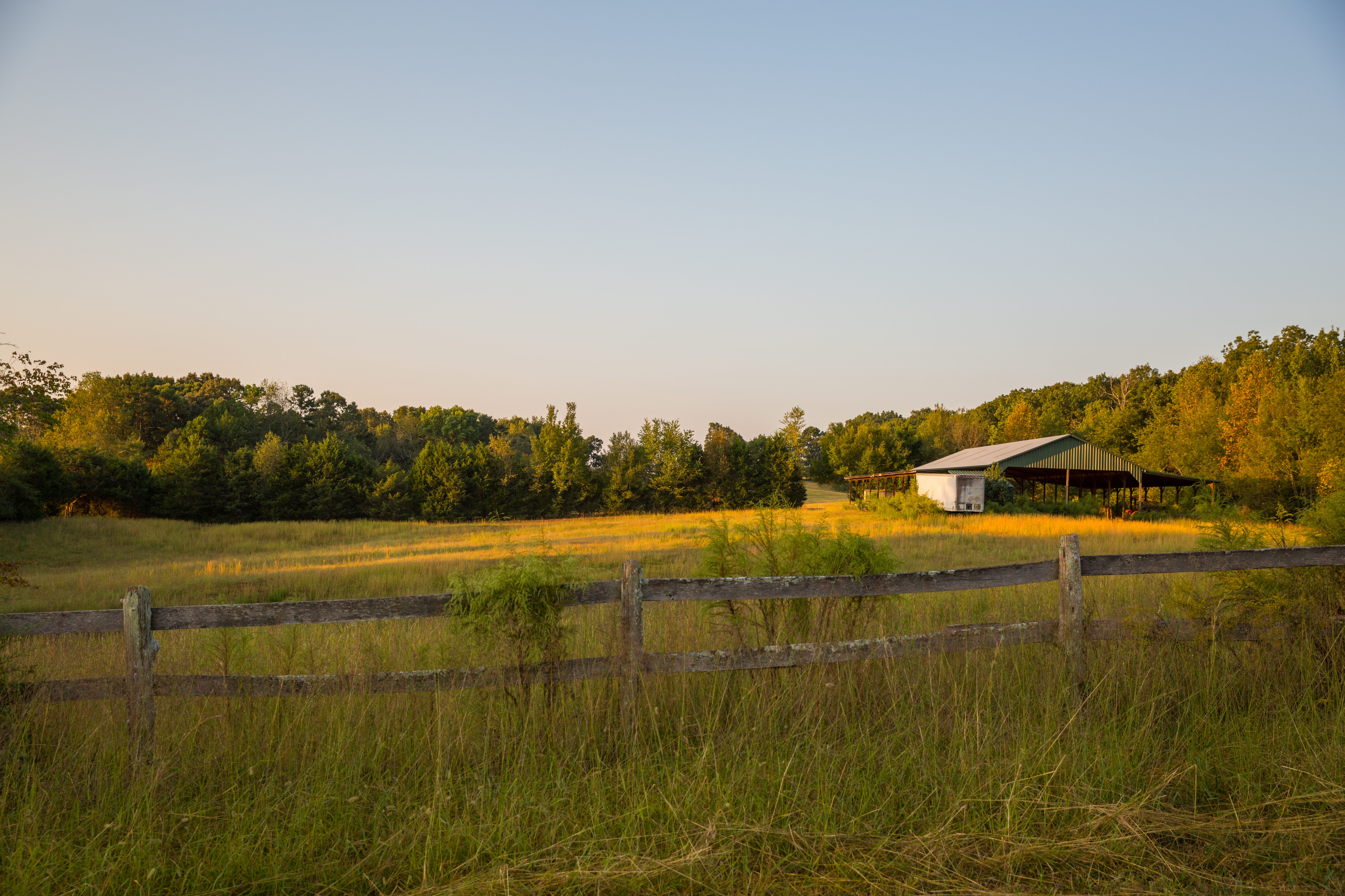 Split Tree Farm property picture 16 of 28