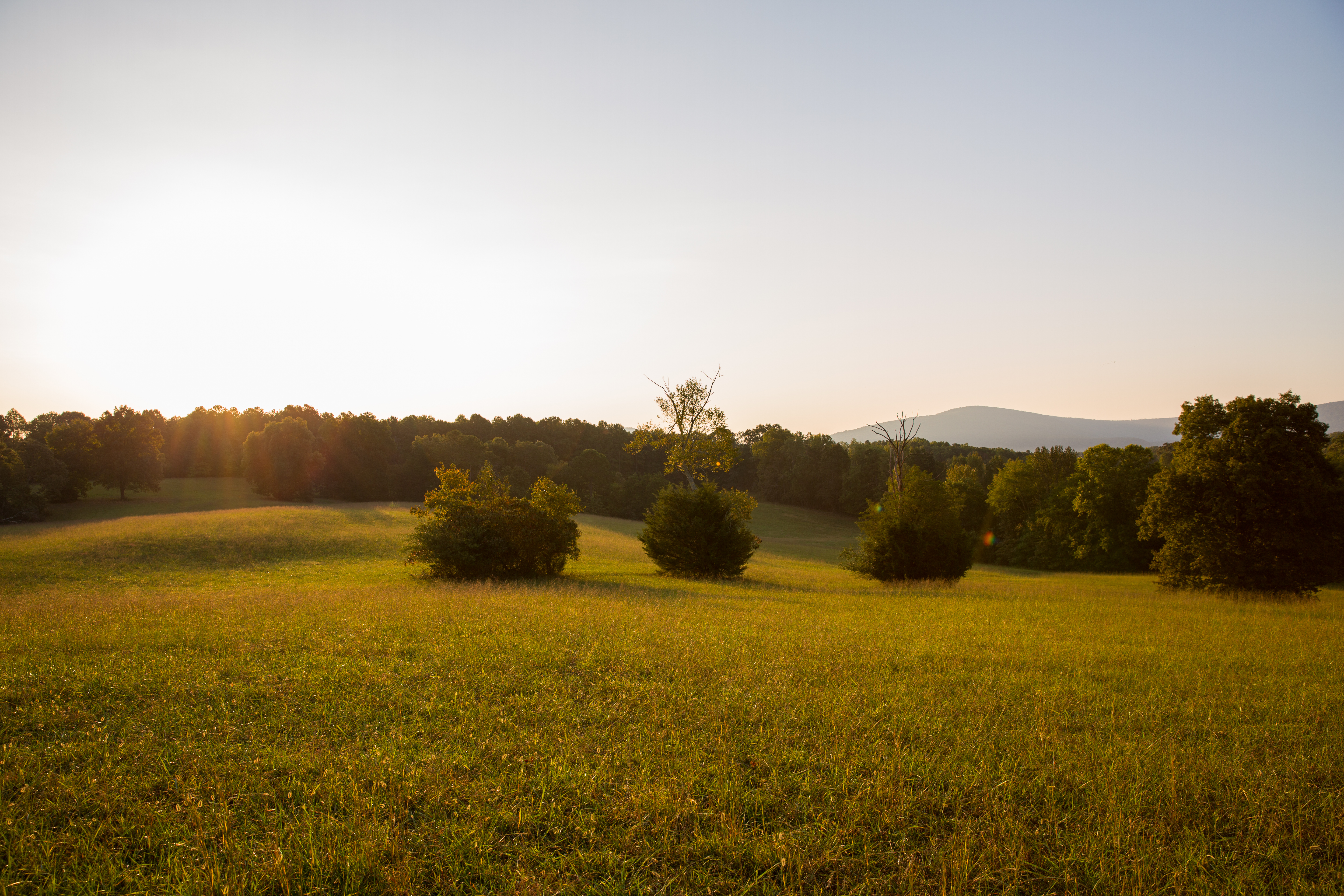 Split Tree Farm property picture 11 of 28