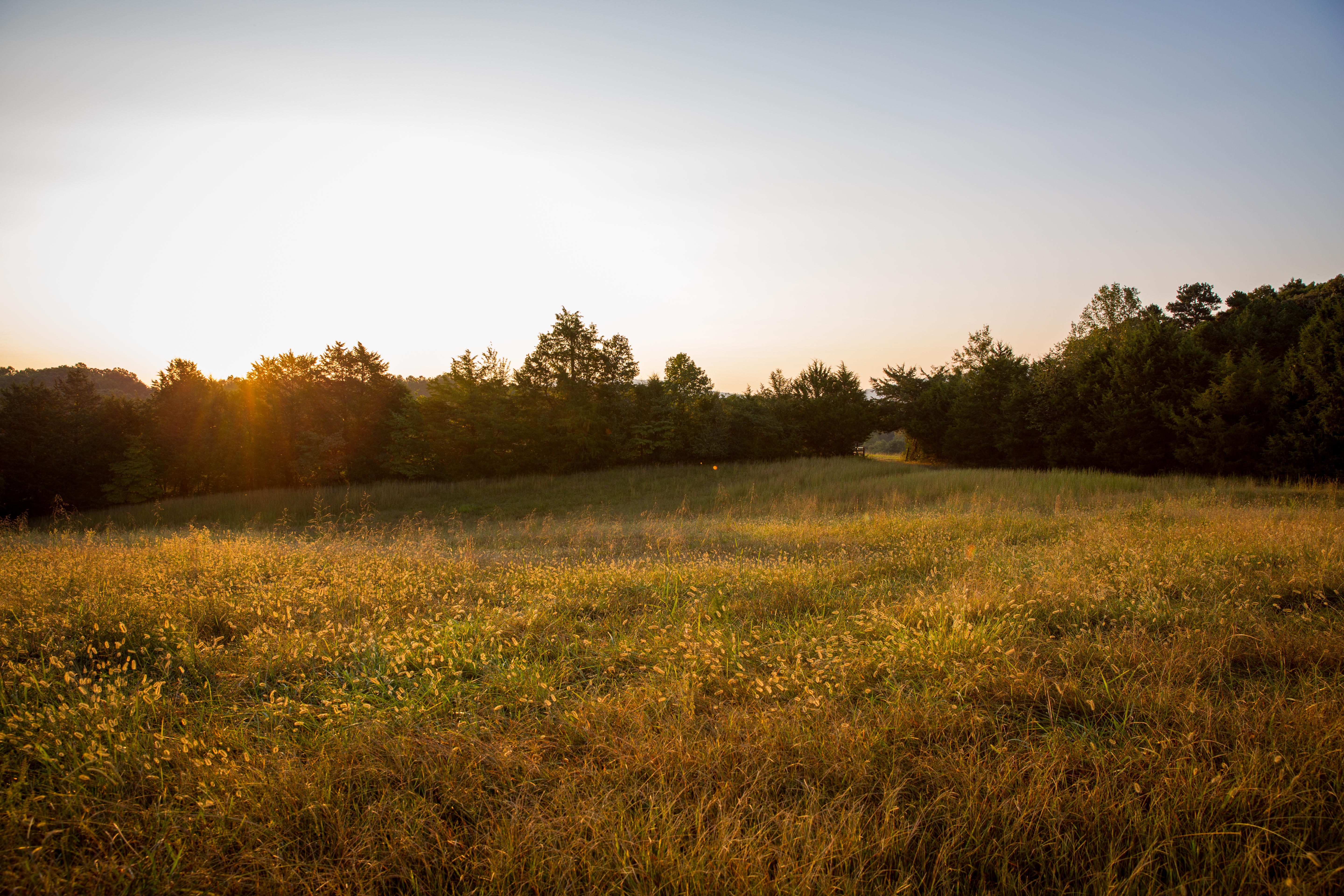 Split Tree Farm property picture 18 of 28