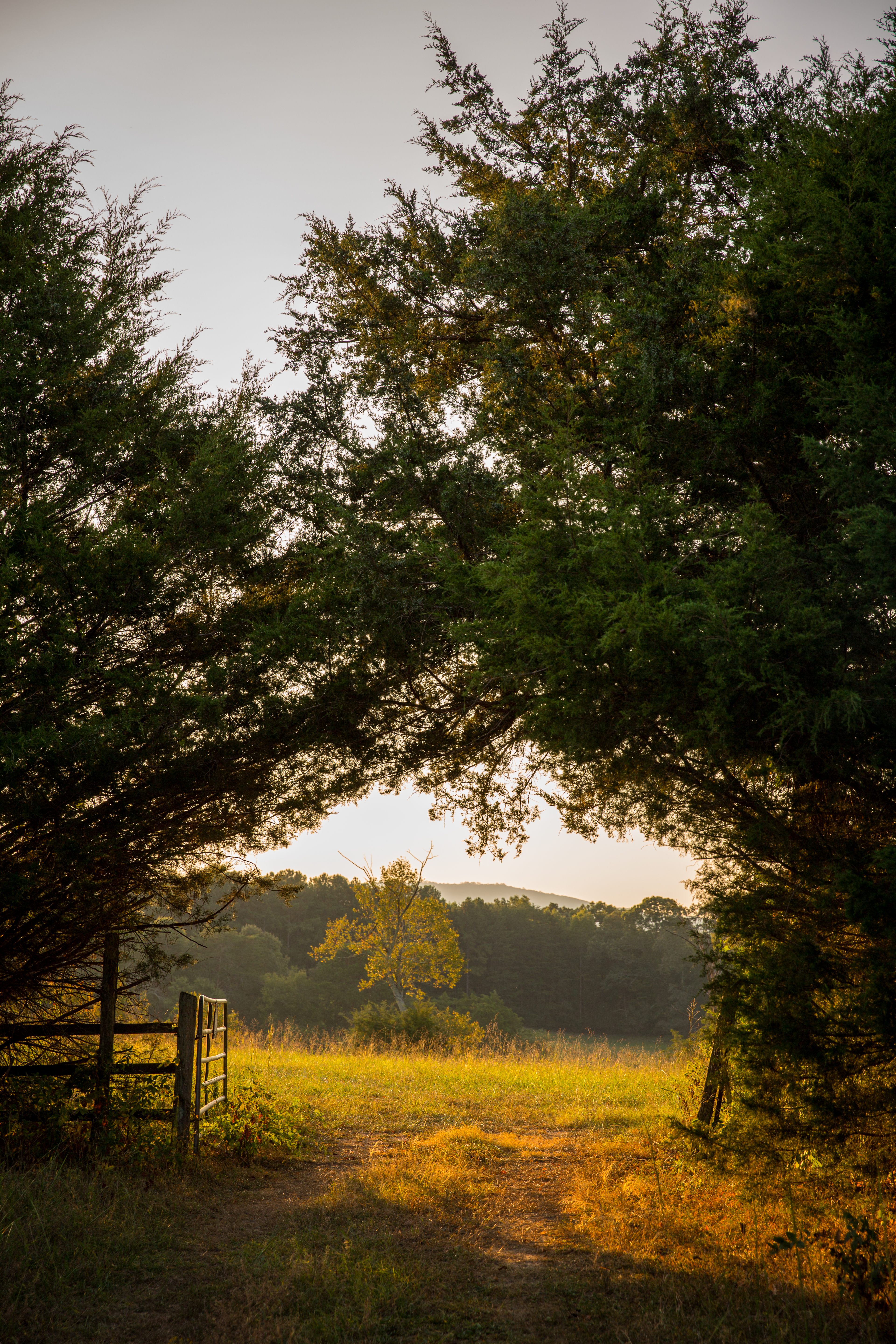 Split Tree Farm property picture 9 of 28