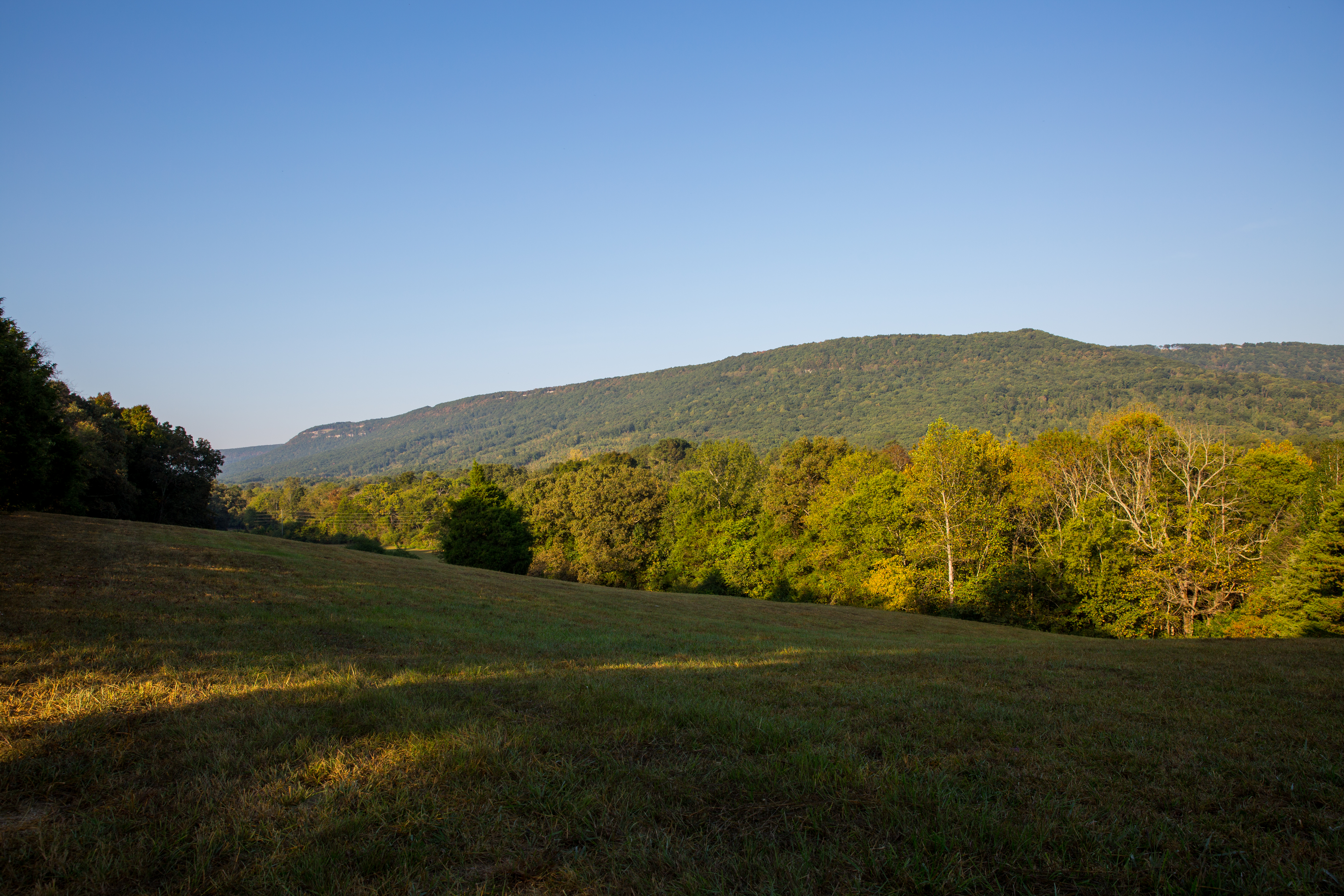 Split Tree Farm property picture 24 of 28