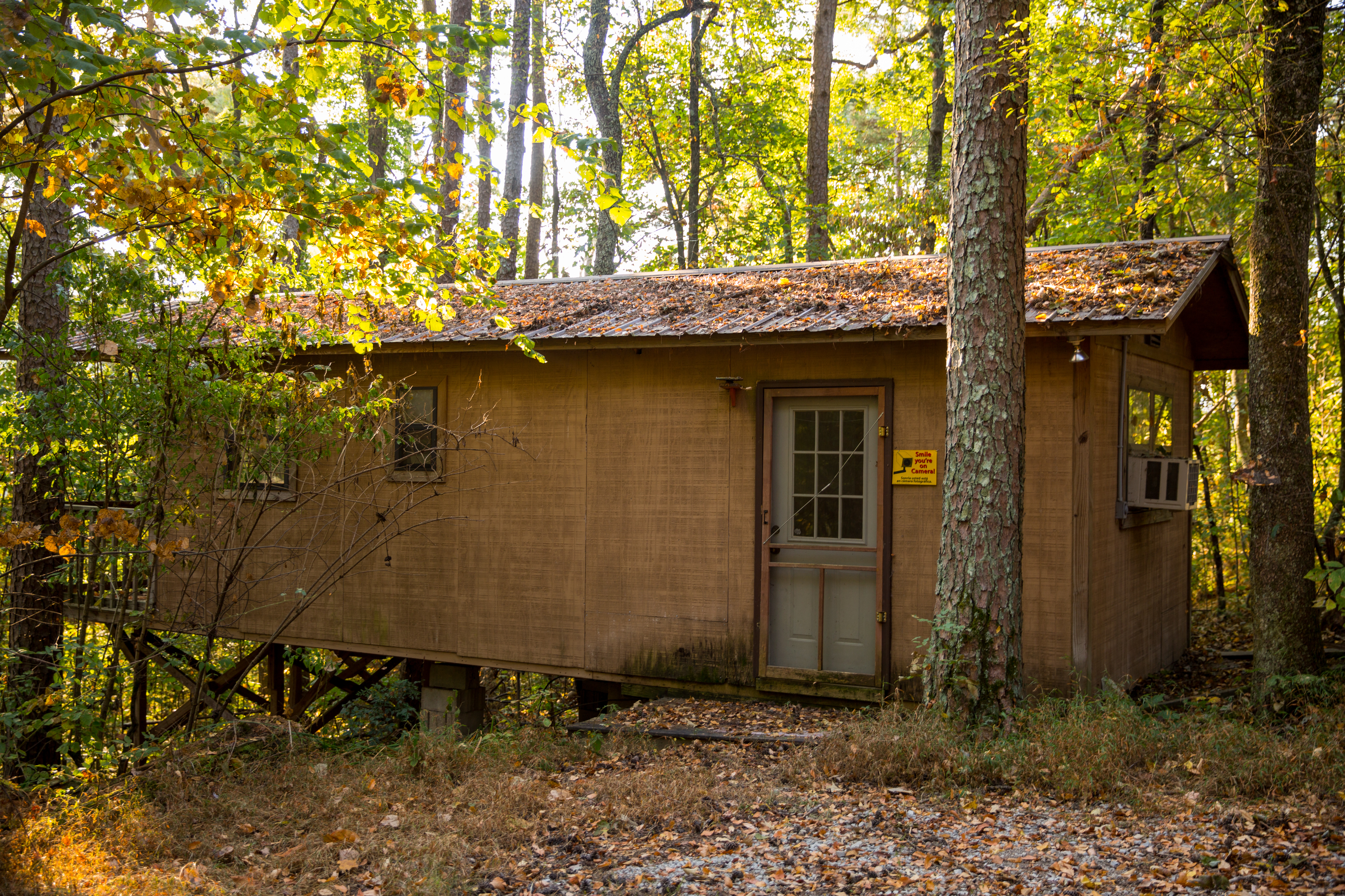 Split Tree Farm property picture 23 of 28