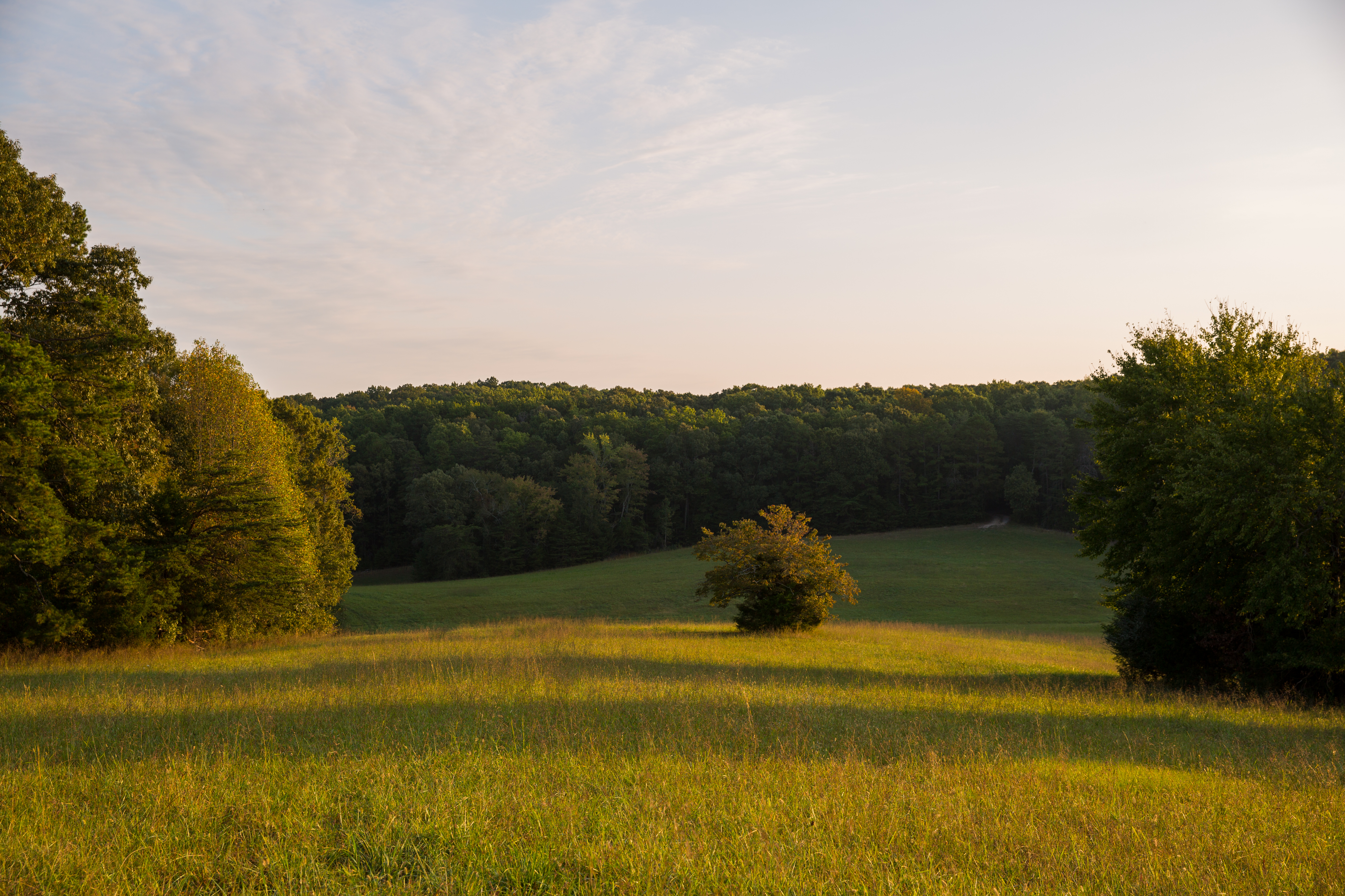 Split Tree Farm property picture 13 of 28