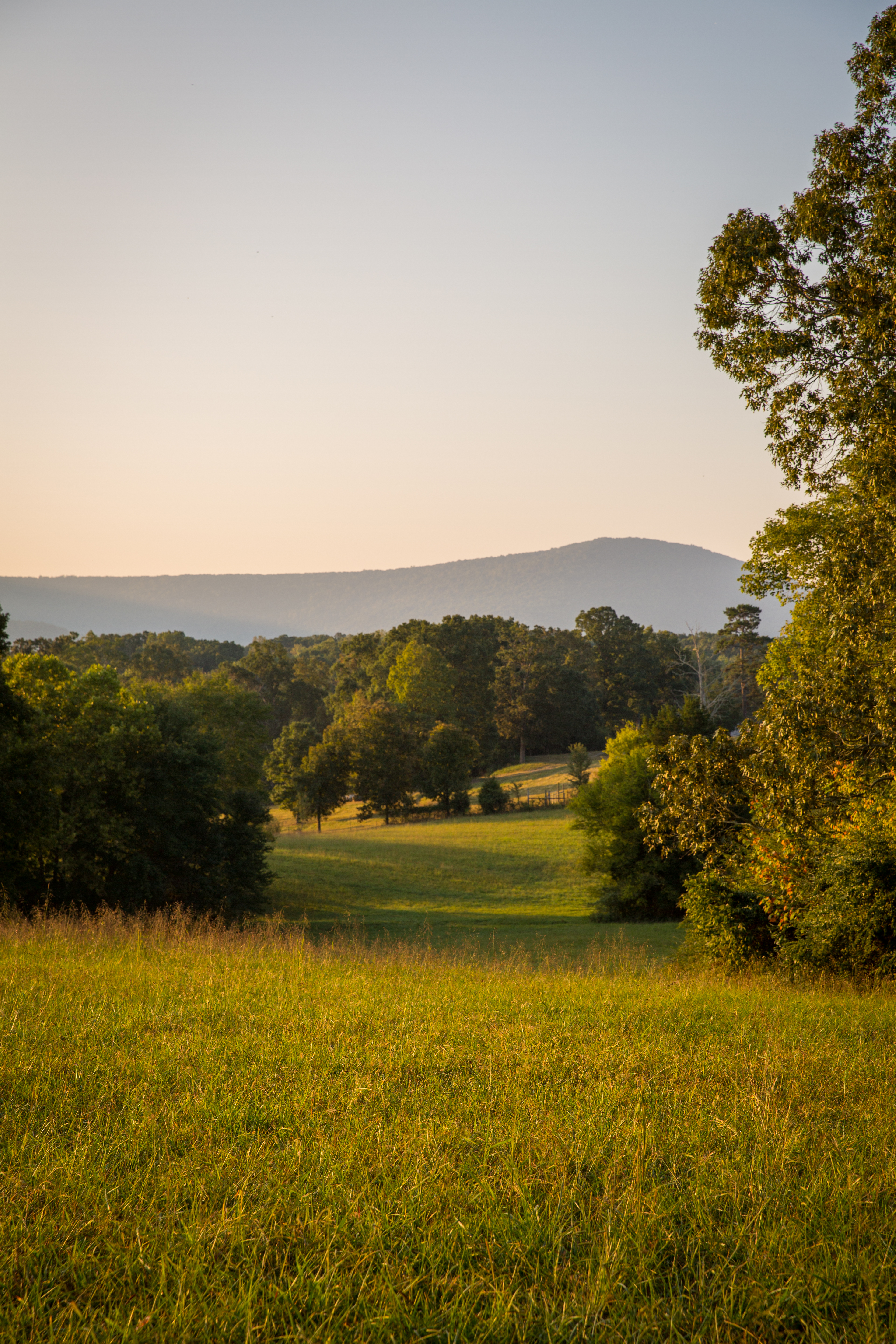 Split Tree Farm property picture 10 of 28