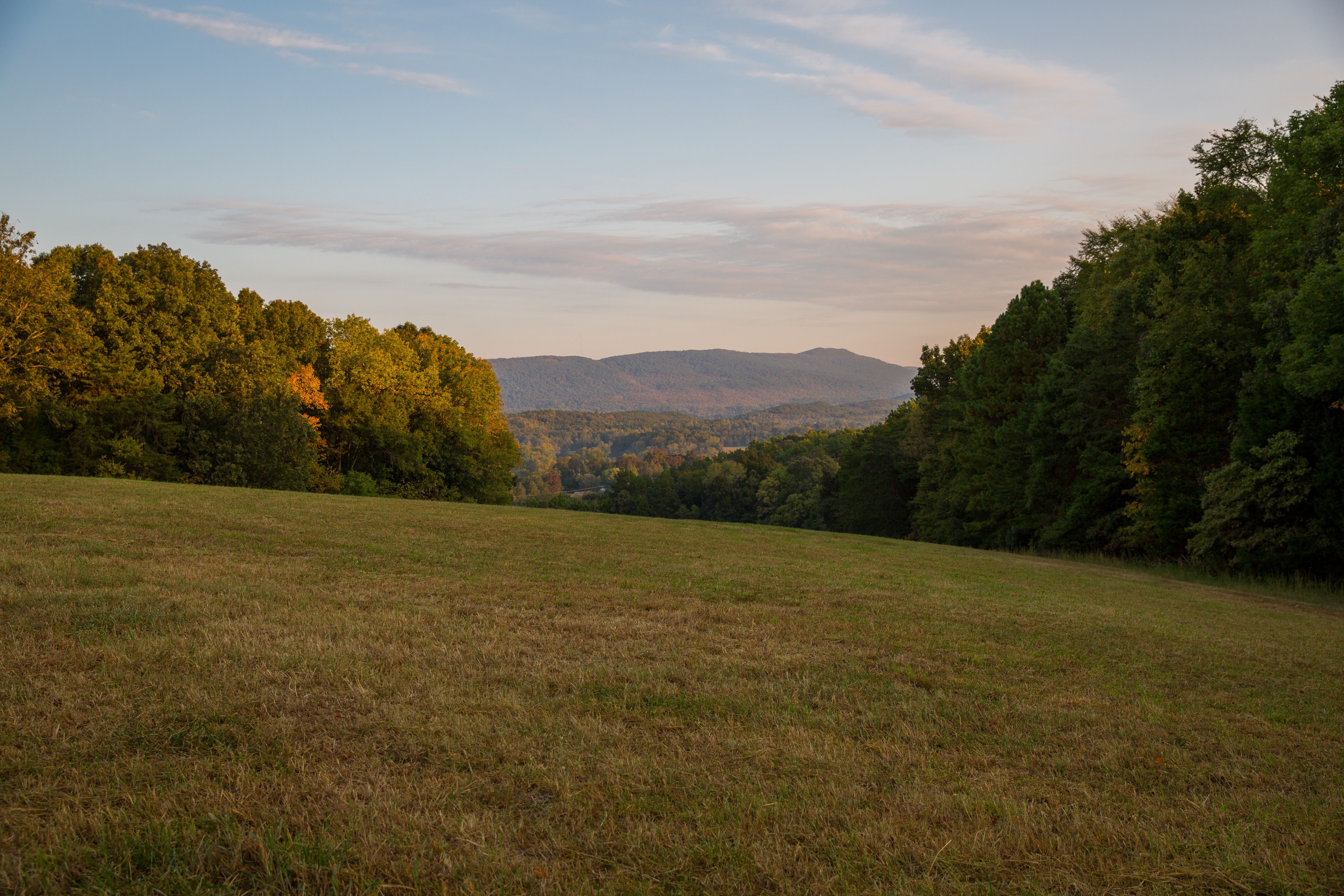 Split Tree Farm property picture 5 of 28