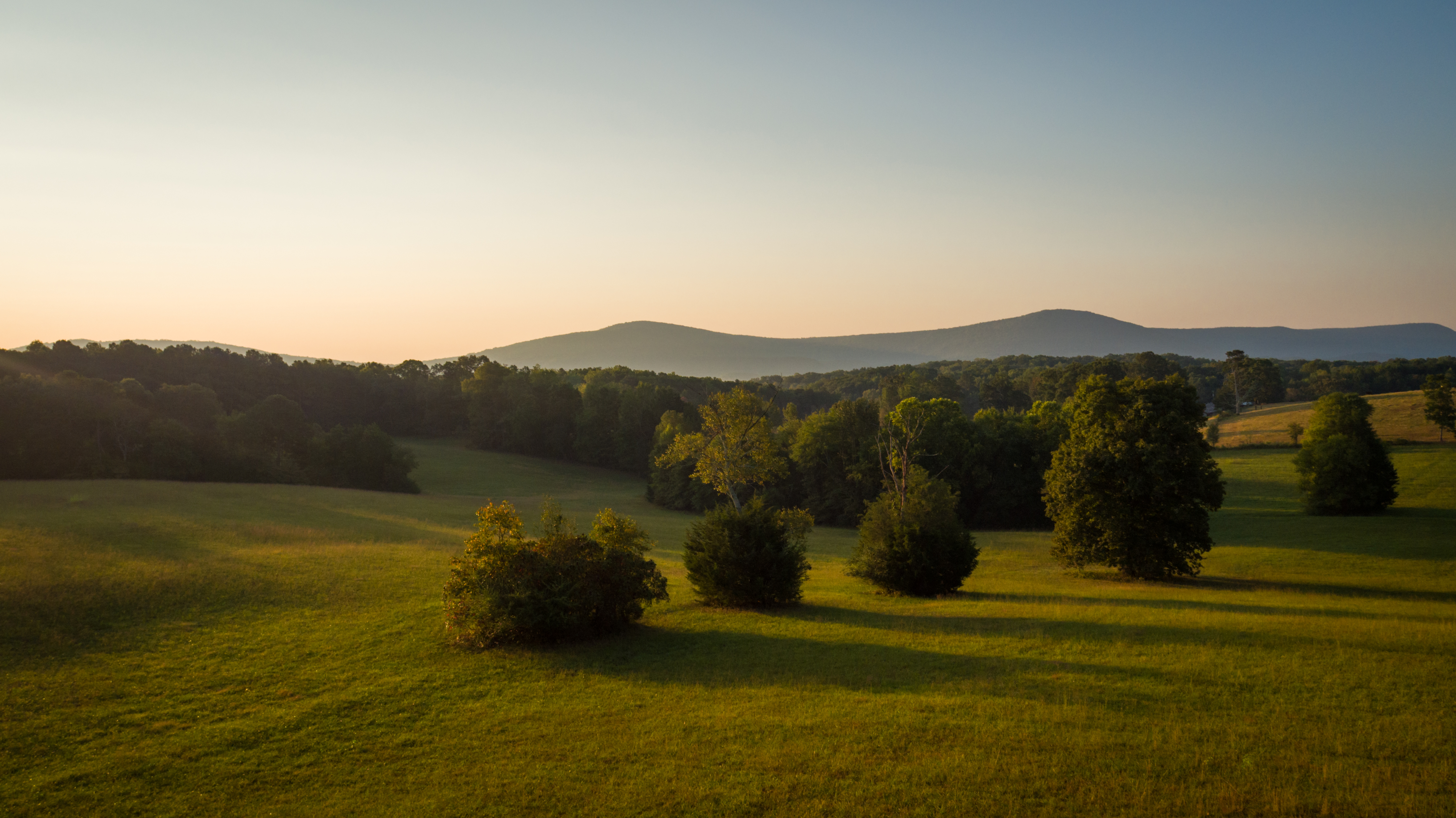 Split Tree Farm property picture 28 of 28