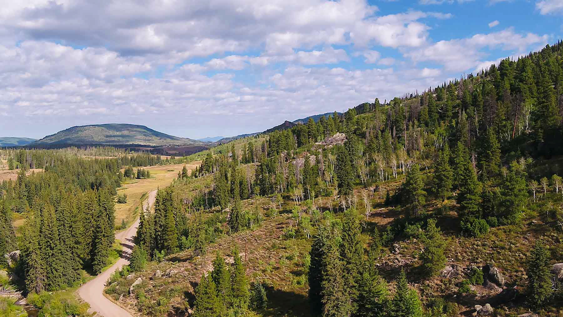 4F Ranch property picture 16 of 42