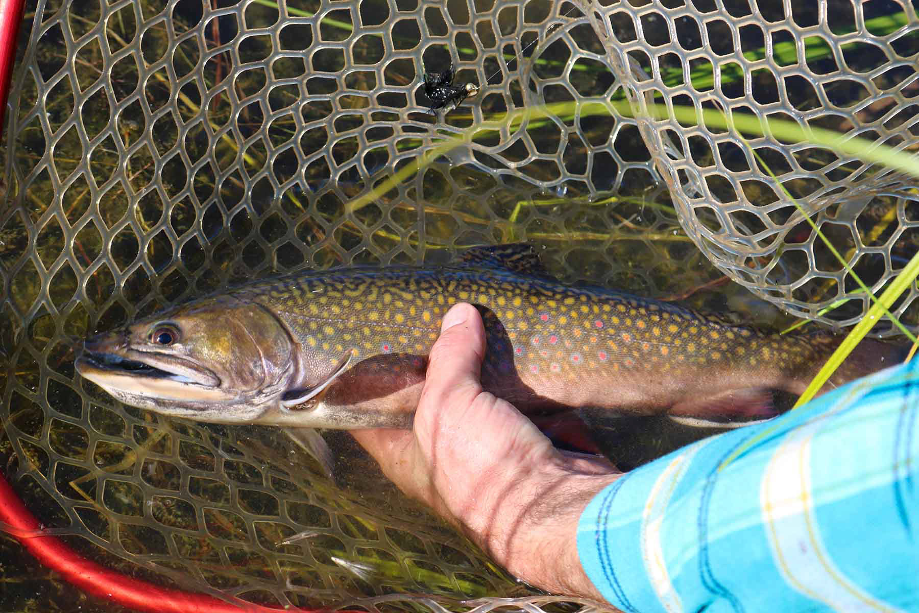 4F Ranch property picture 27 of 42