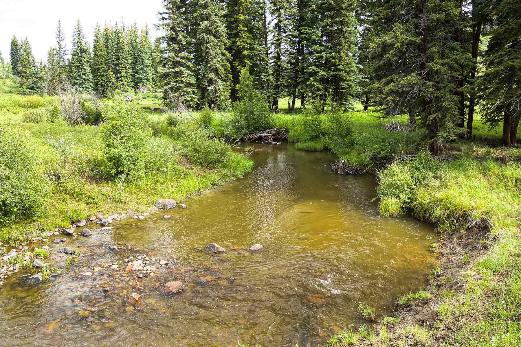 4F Ranch property picture 34 of 42