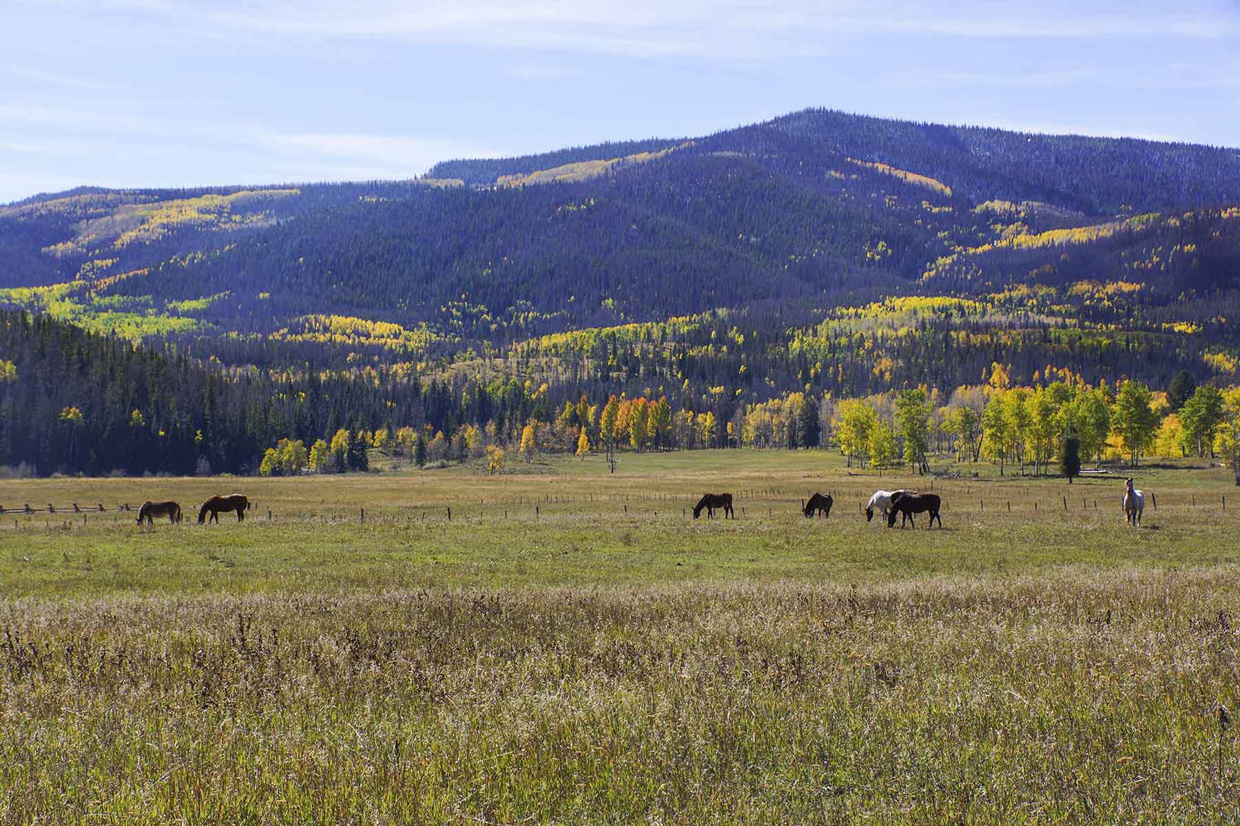 4F Ranch property picture 41 of 42
