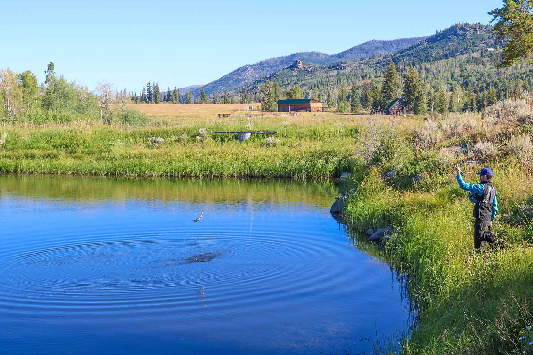 4F Ranch property picture 26 of 42