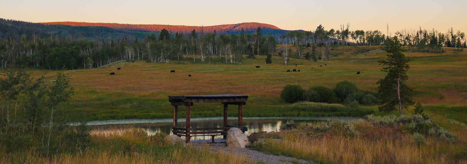 4F Ranch property picture 18 of 42