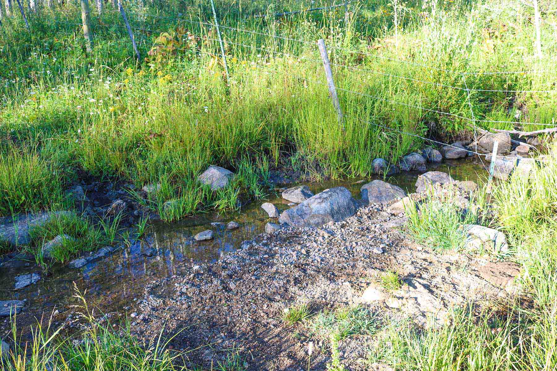 4F Ranch property picture 21 of 42