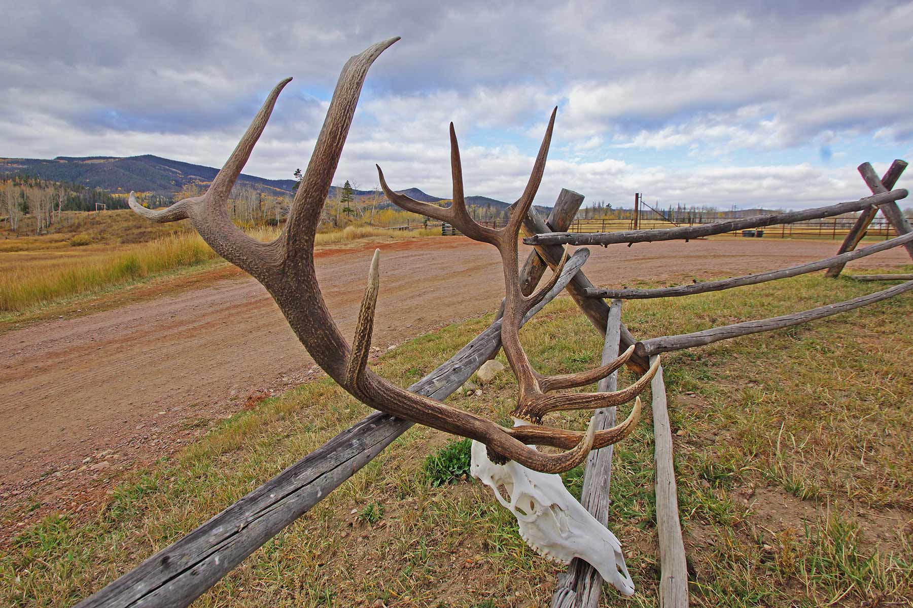 4F Ranch property picture 4 of 42