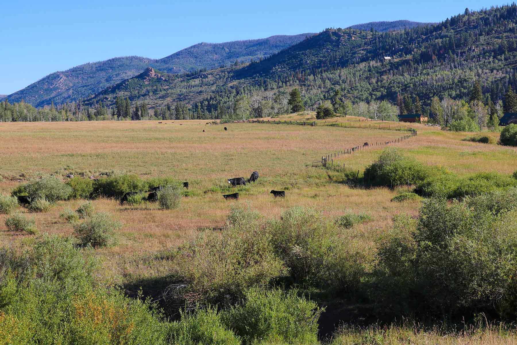 4F Ranch property picture 24 of 42