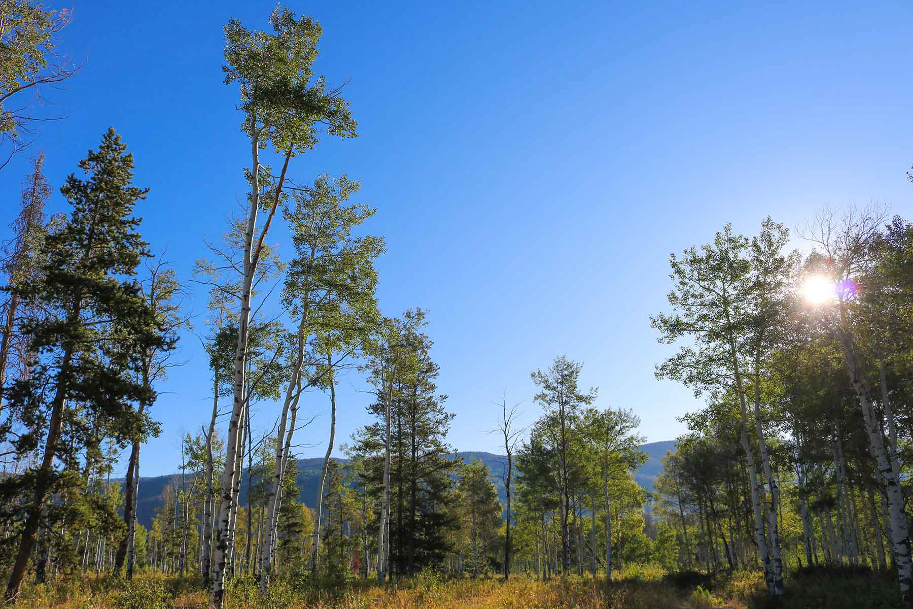 4F Ranch property picture 19 of 42