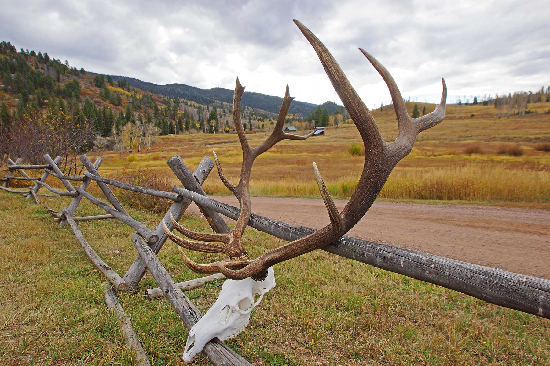 4F Ranch property picture 42 of 42