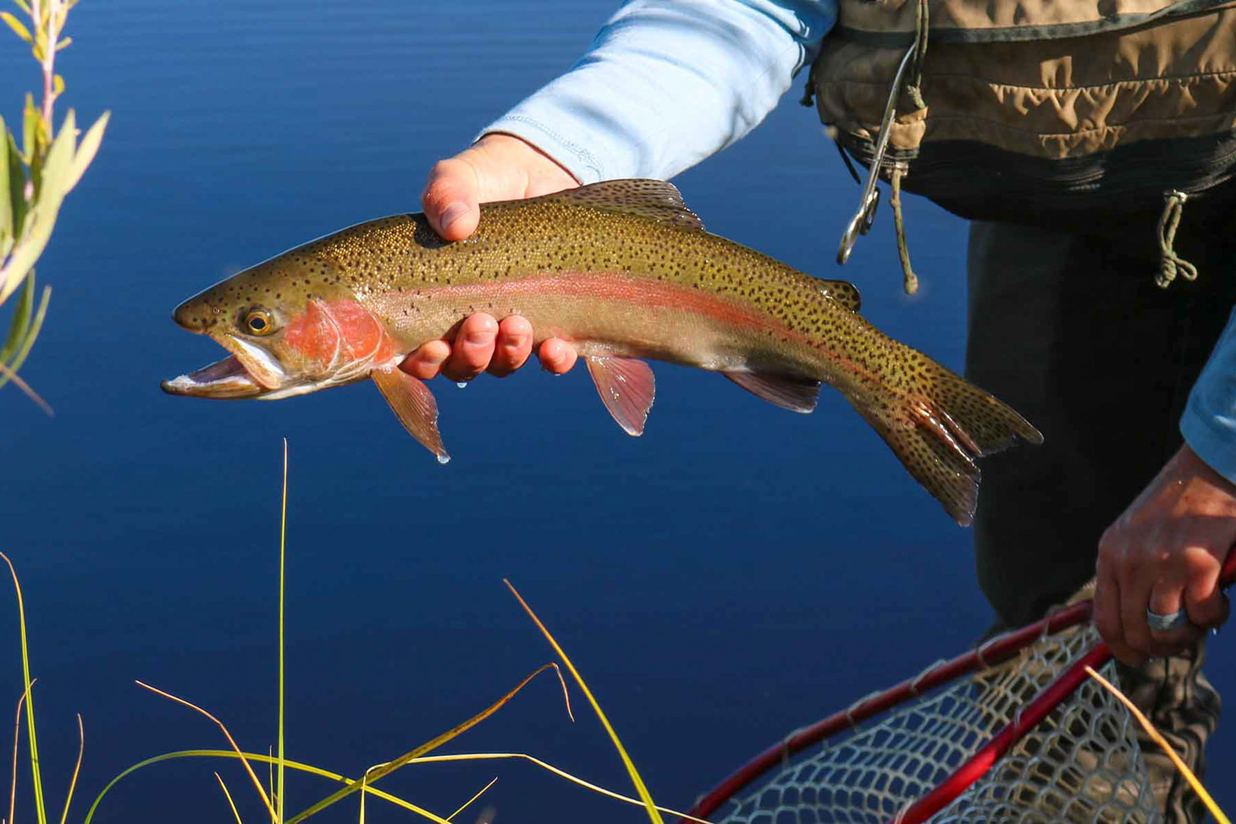 4F Ranch property picture 25 of 42