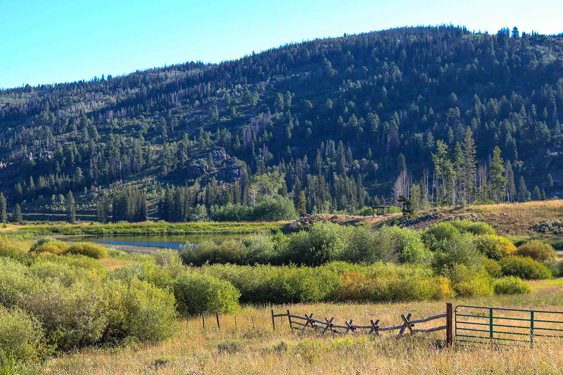 4F Ranch property picture 23 of 42