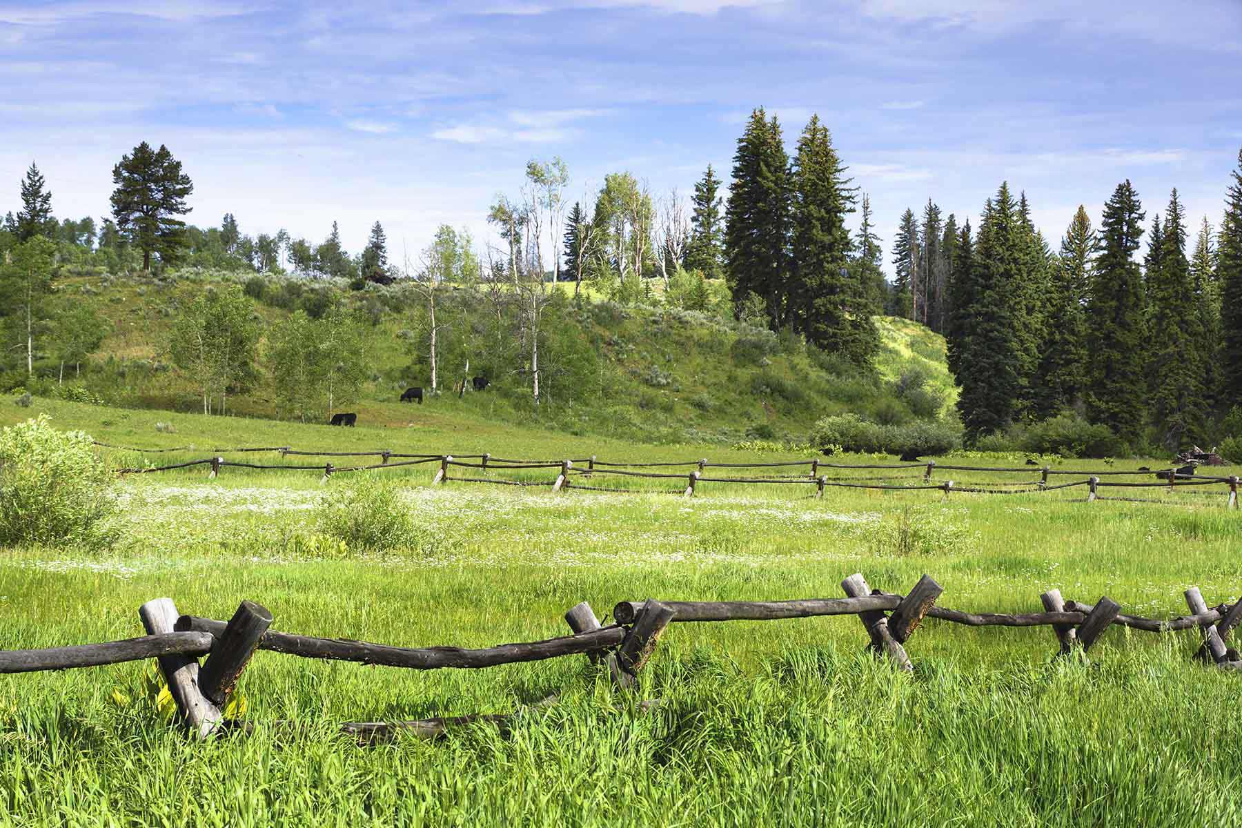 4F Ranch property picture 33 of 42