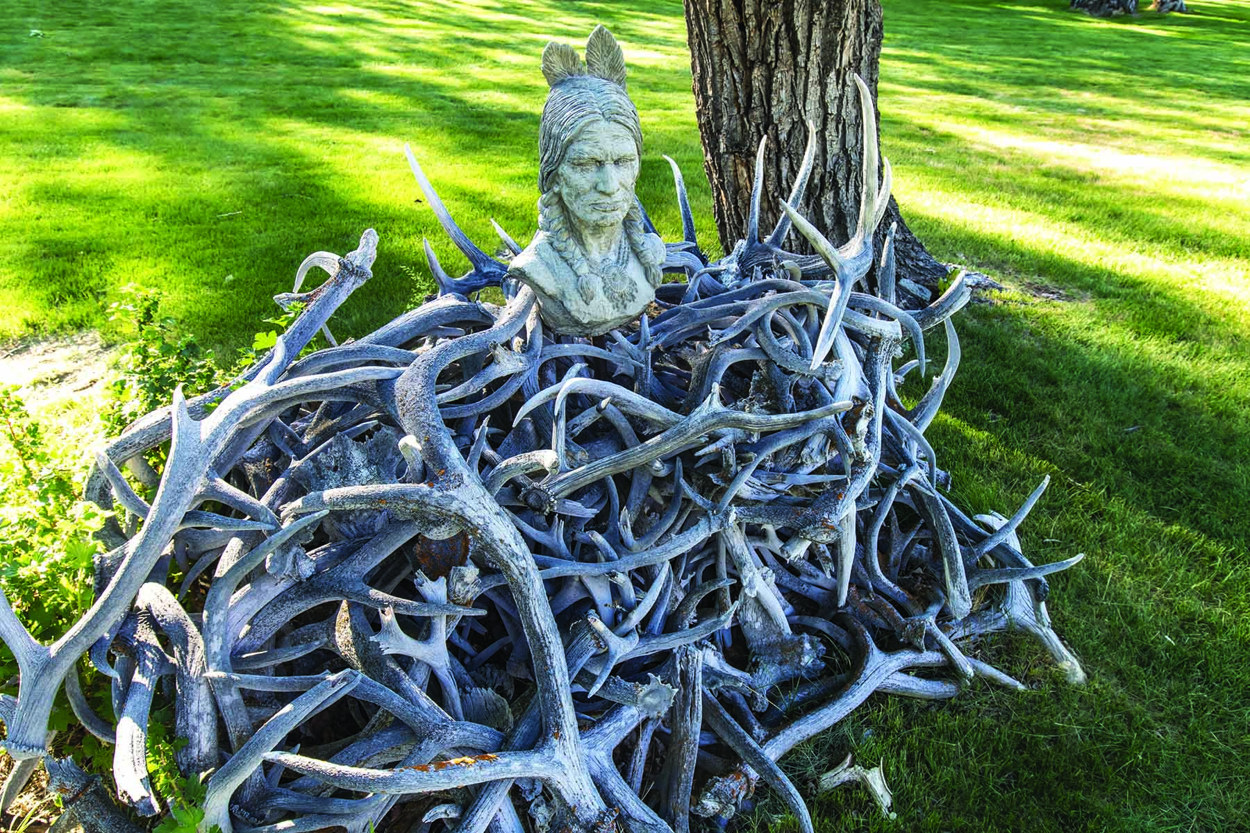 Majo Ranch property picture 48 of 50