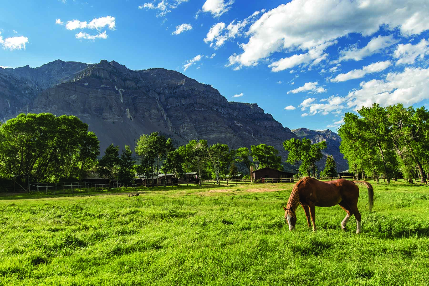 Majo Ranch property picture 42 of 50