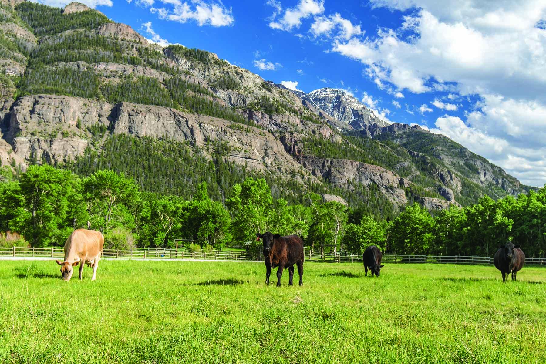 Majo Ranch property picture 31 of 50