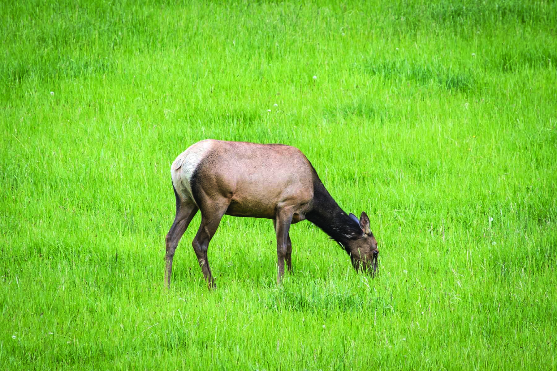 Majo Ranch property picture 21 of 50