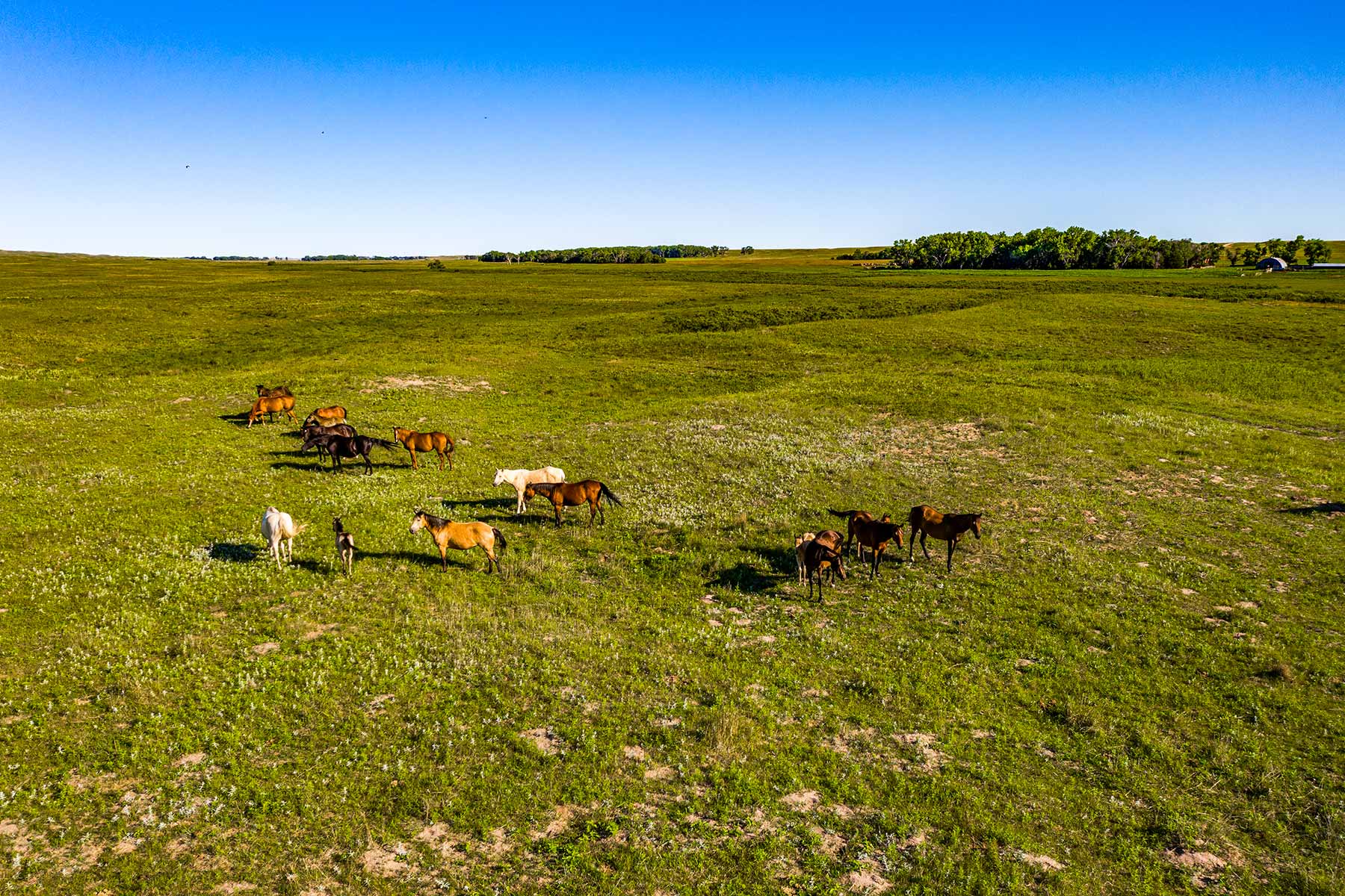 Minnechaduza Creek Ranch property picture 46 of 100