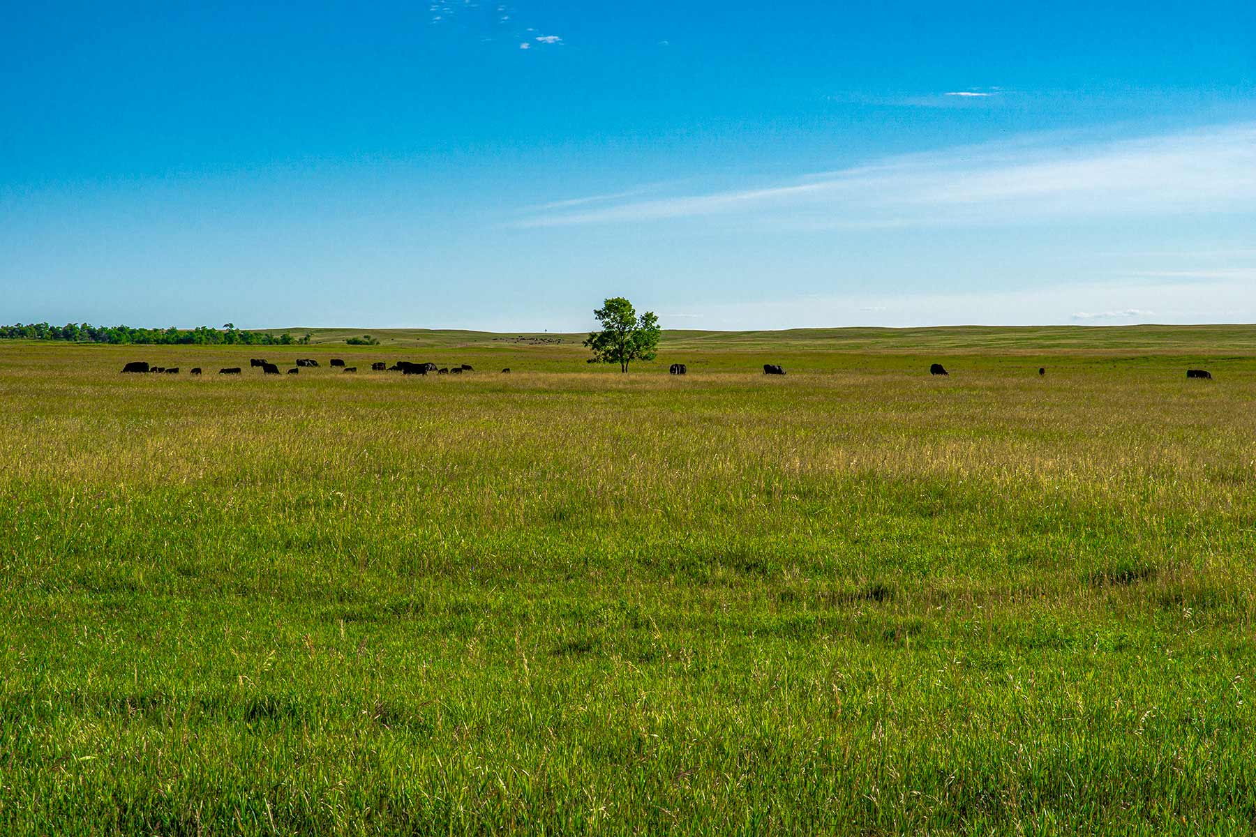 Minnechaduza Creek Ranch property picture 86 of 100