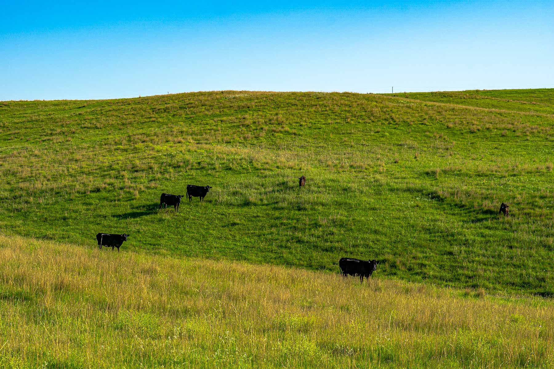 Minnechaduza Creek Ranch property picture 84 of 100