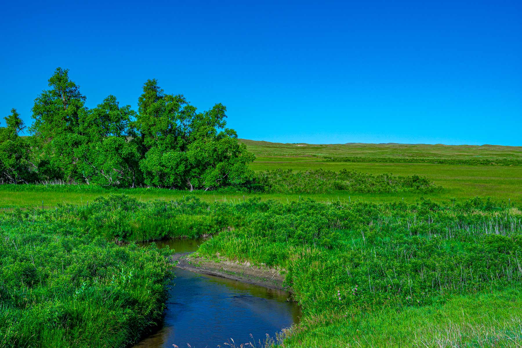 Minnechaduza Creek Ranch property picture 97 of 100