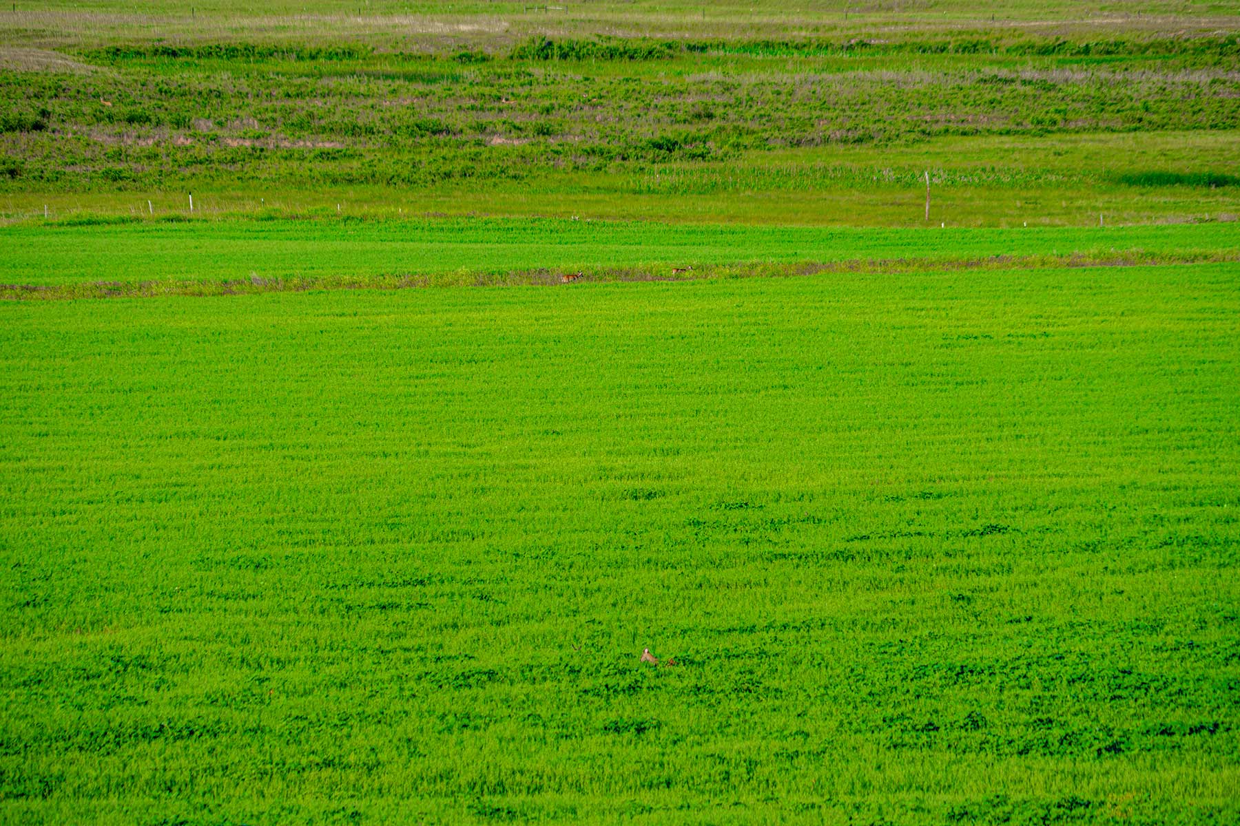 Minnechaduza Creek Ranch property picture 78 of 100