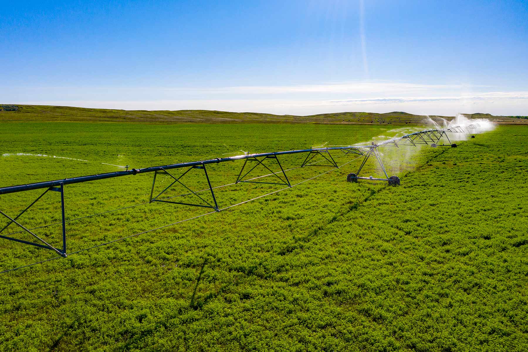 Minnechaduza Creek Ranch property picture 22 of 100