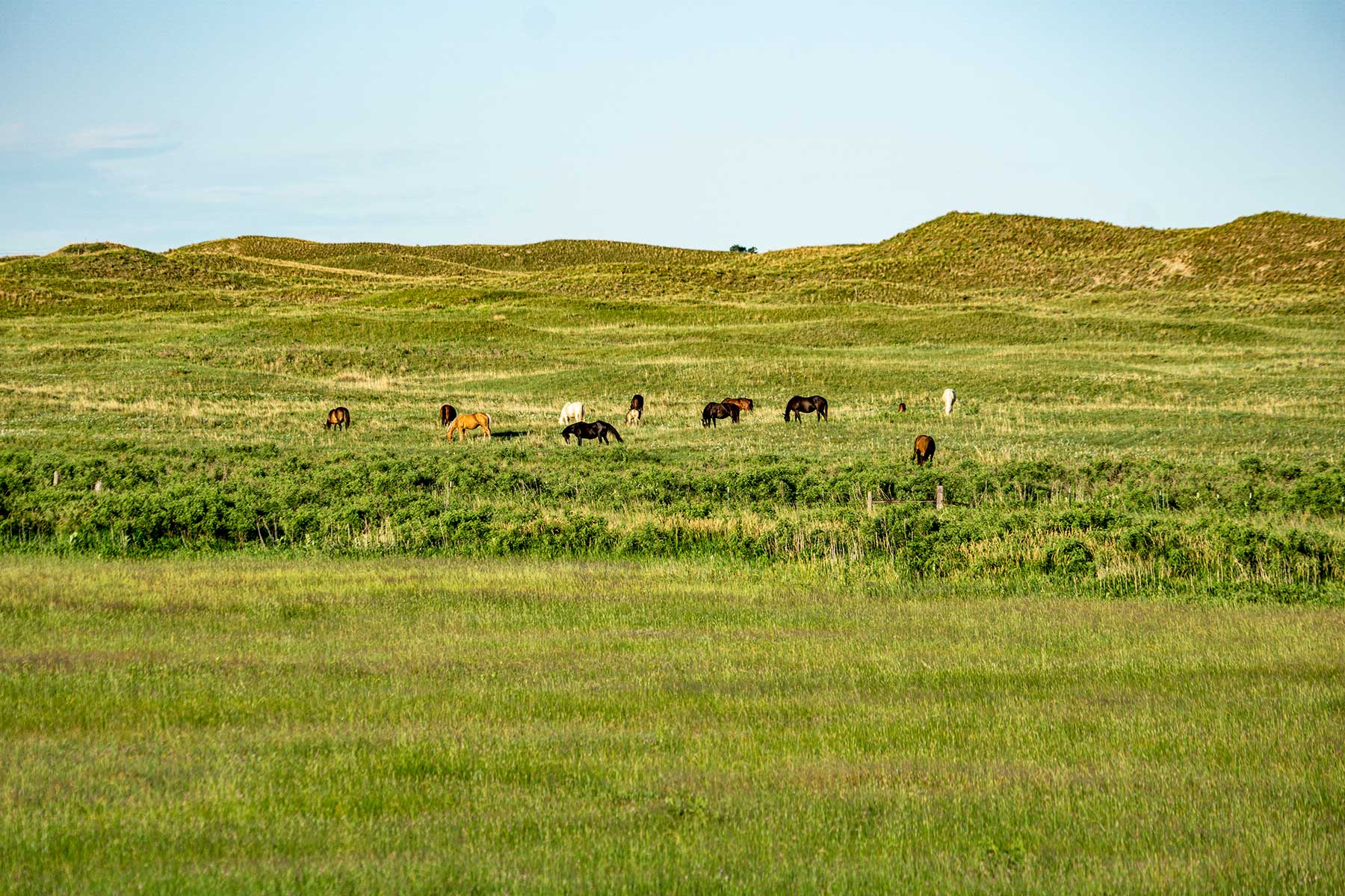Minnechaduza Creek Ranch property picture 69 of 100