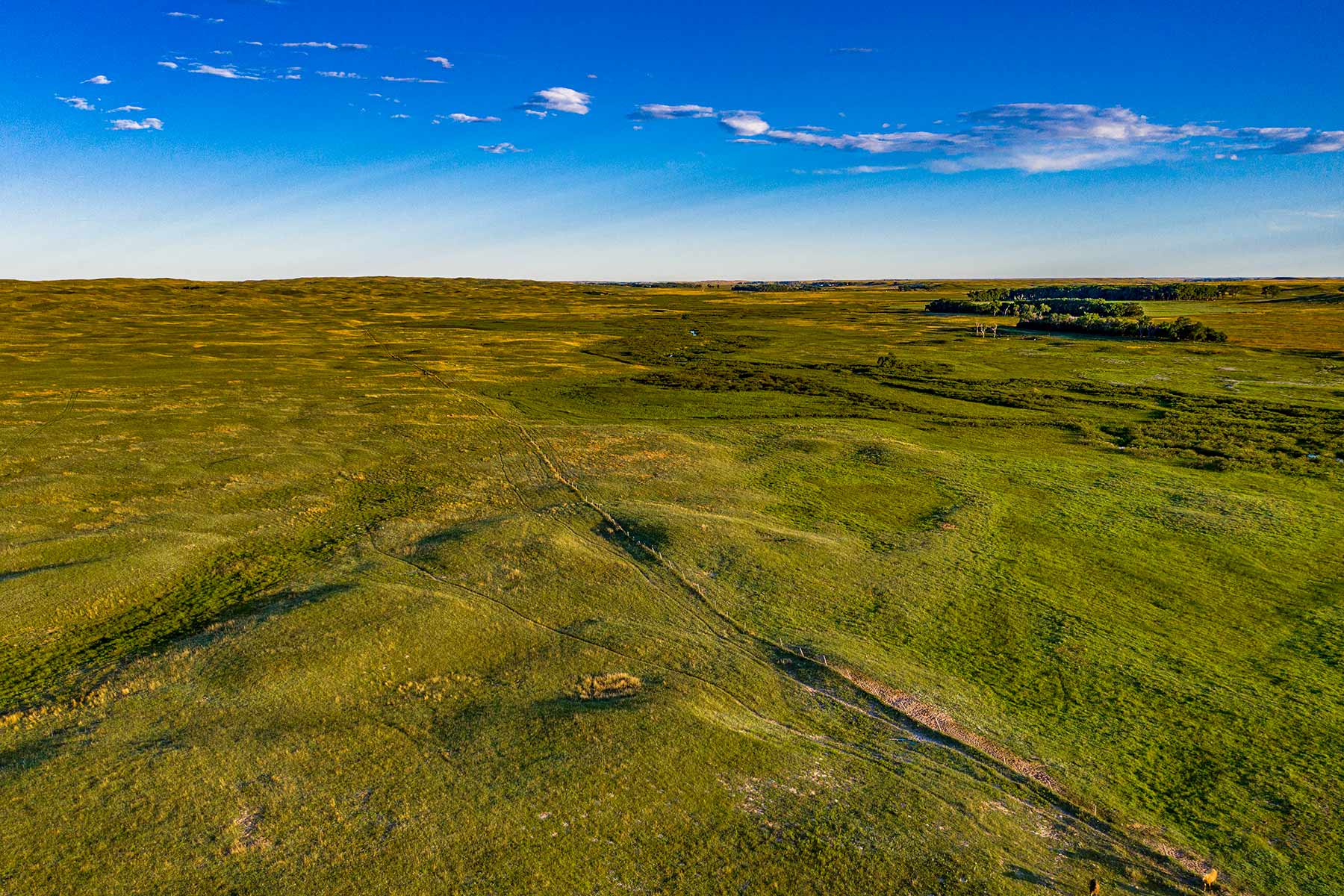 Minnechaduza Creek Ranch property picture 18 of 100