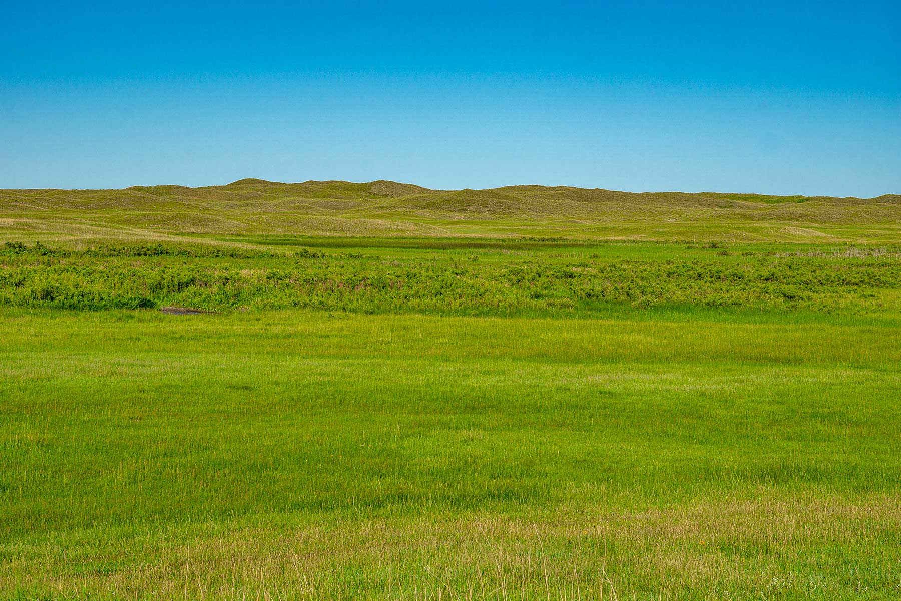 Minnechaduza Creek Ranch property picture 75 of 100