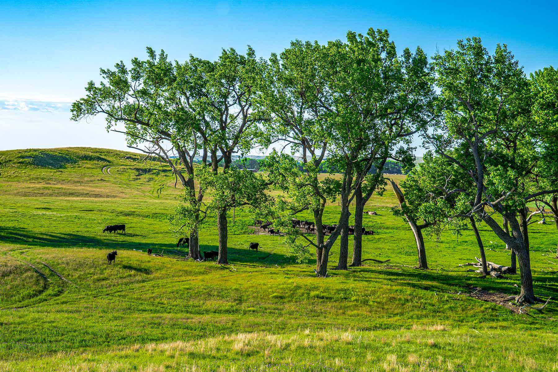 Minnechaduza Creek Ranch property picture 85 of 100