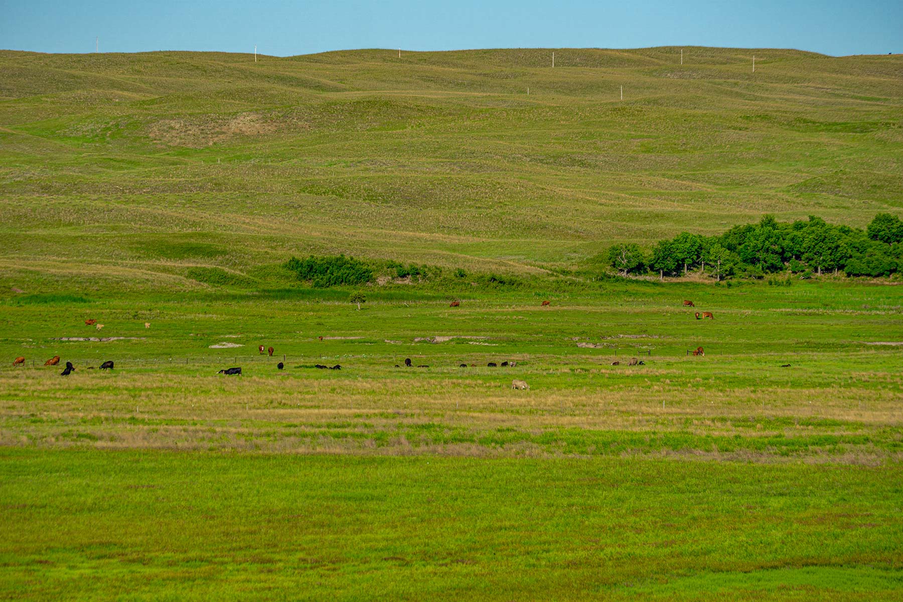 Minnechaduza Creek Ranch property picture 83 of 100