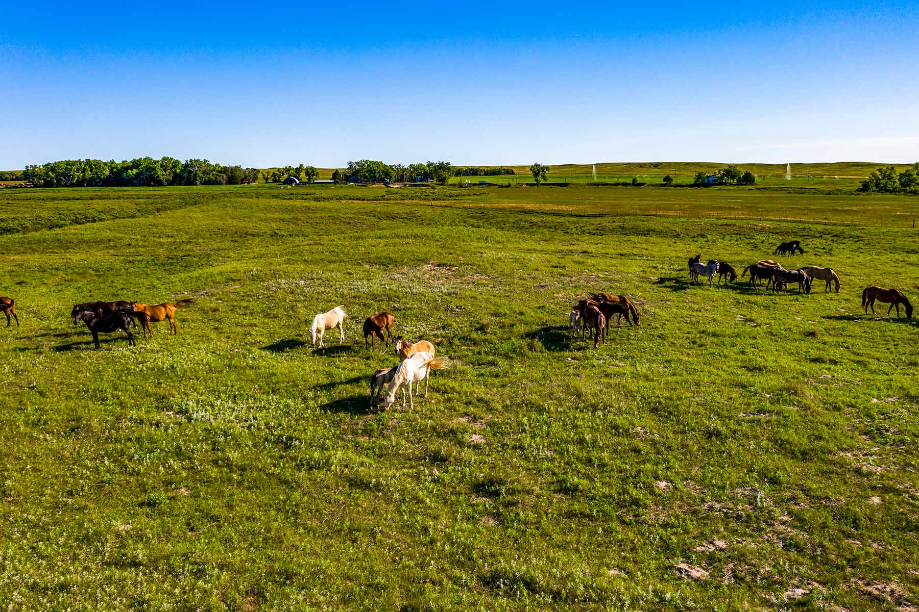Minnechaduza Creek Ranch property picture 11 of 100
