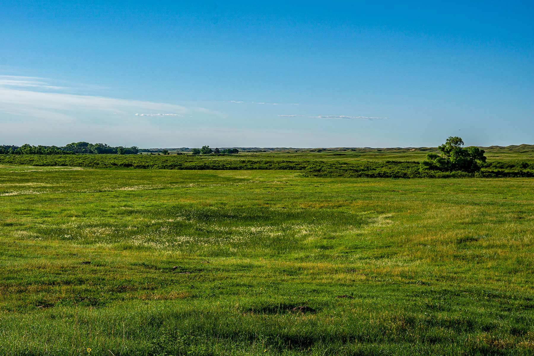 Minnechaduza Creek Ranch property picture 74 of 100