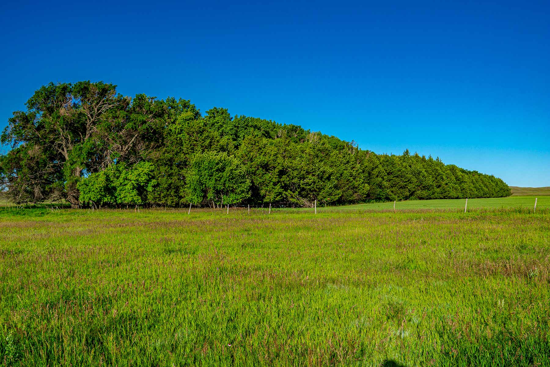 Minnechaduza Creek Ranch property picture 76 of 100