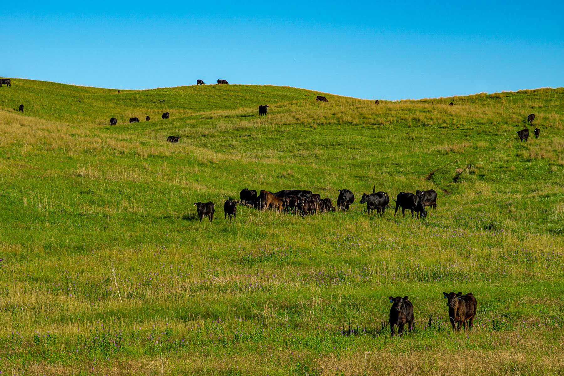 Minnechaduza Creek Ranch property picture 47 of 100